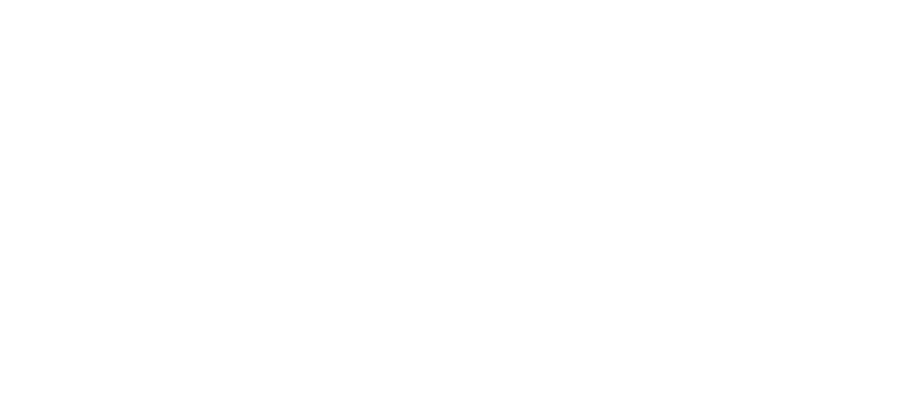 Turnip Bakes